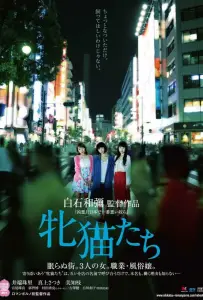 Кошачий рассвет (фильм 2017)