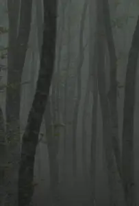 Убежище 2: ледяная тропа (фильм 2018)