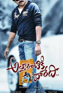 Путь к дому тёти (фильм 2013)